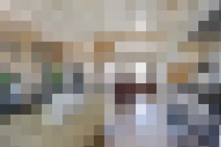 Oude Heijningsedijk 77 Heijningen thumbnail 23