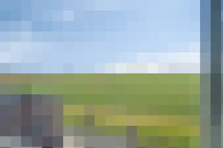 Oude Heijningsedijk 77 Heijningen thumbnail 30