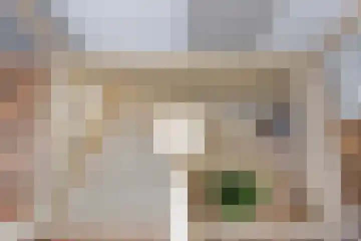 Oude Heijningsedijk 77 Heijningen thumbnail 31