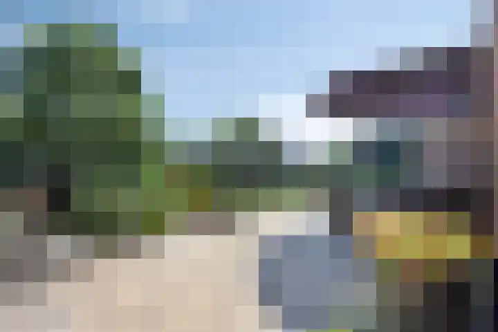 Oude Heijningsedijk 77 Heijningen thumbnail 34