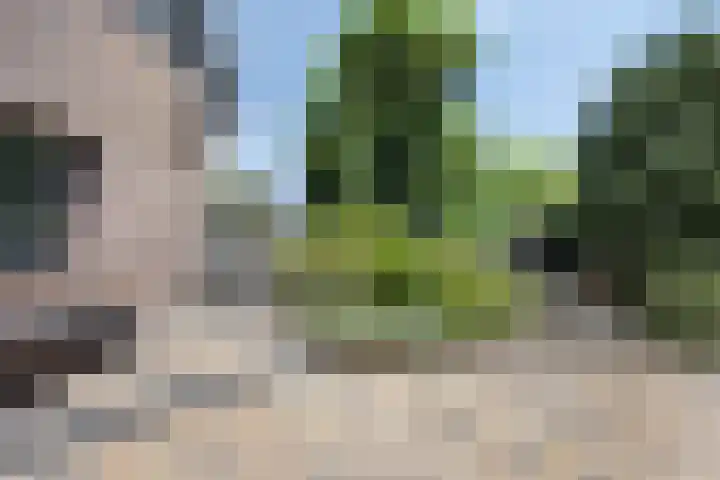 Oude Heijningsedijk 77 Heijningen thumbnail 35