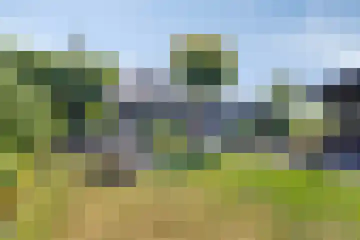 Oude Heijningsedijk 77 Heijningen thumbnail 37