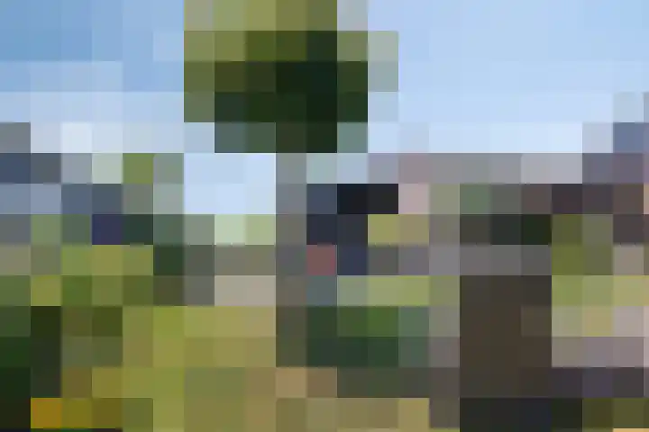 Oude Heijningsedijk 77 Heijningen thumbnail 38