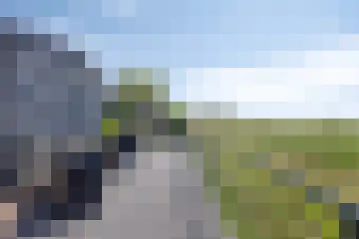Oude Heijningsedijk 77 Heijningen thumbnail 39