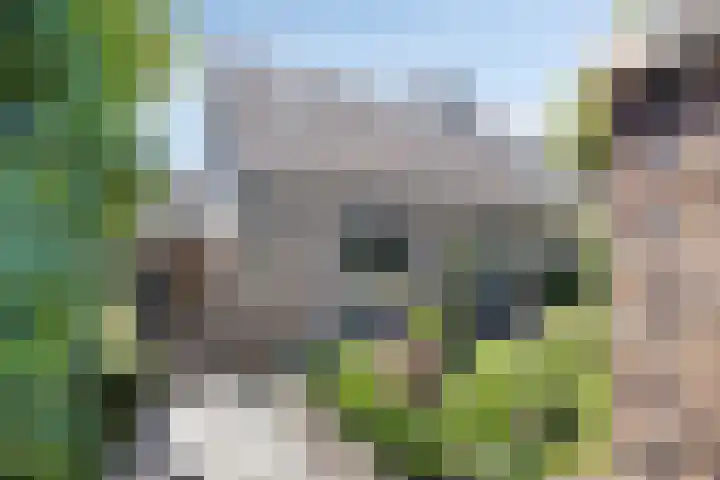 Oude Heijningsedijk 77 Heijningen thumbnail 4