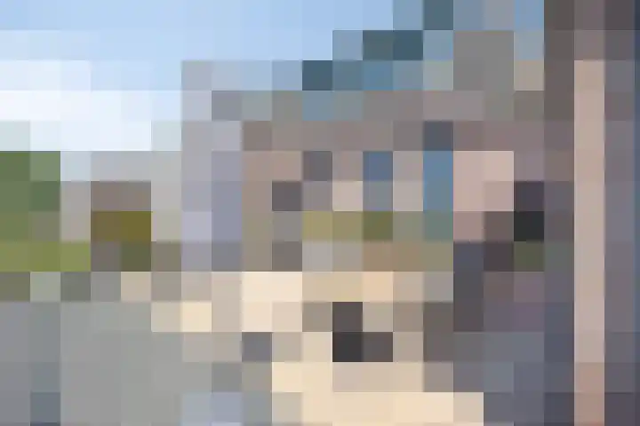 Oude Heijningsedijk 77 Heijningen thumbnail 40