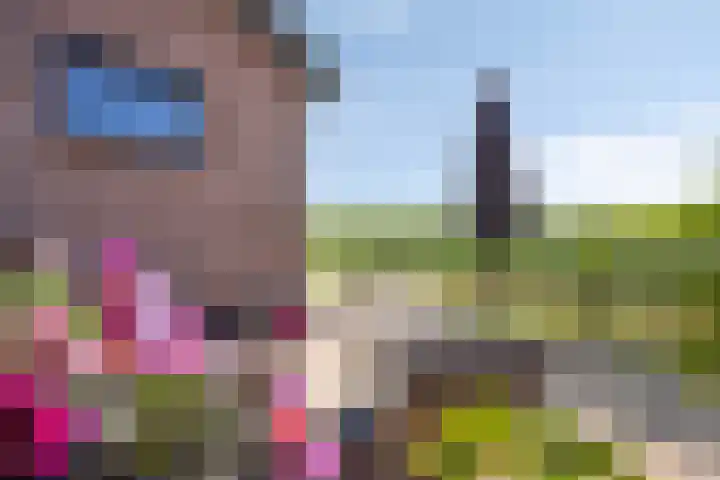 Oude Heijningsedijk 77 Heijningen thumbnail 41
