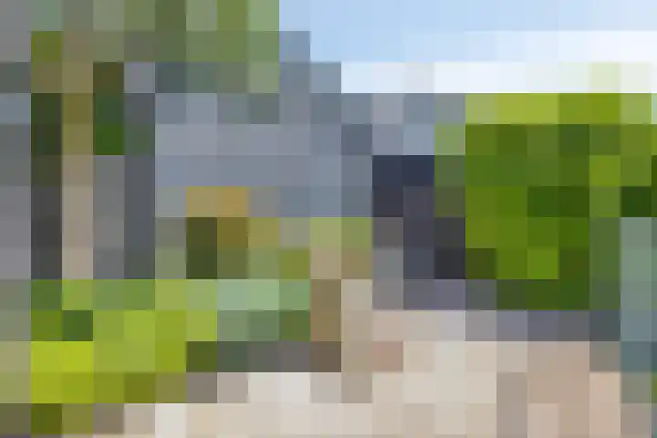 Oude Heijningsedijk 77 Heijningen thumbnail 42
