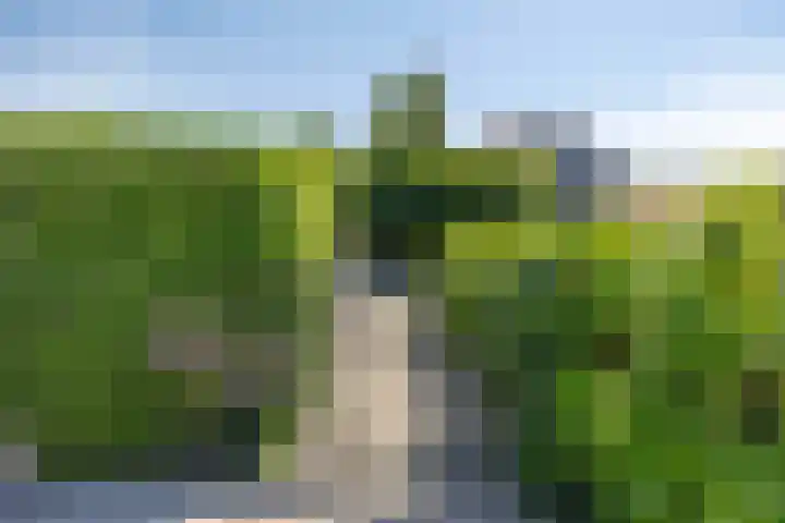 Oude Heijningsedijk 77 Heijningen thumbnail 45