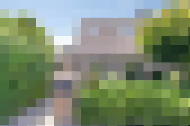 Oude Heijningsedijk 77 Heijningen thumbnail 46