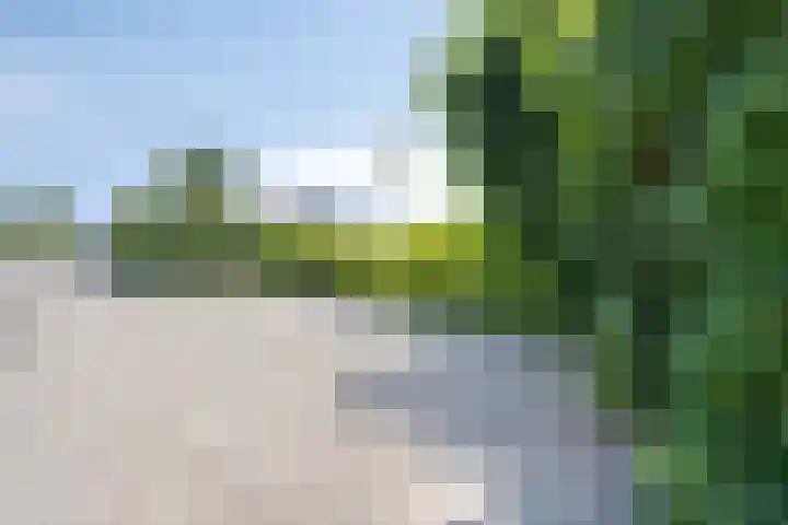 Oude Heijningsedijk 77 Heijningen thumbnail 48