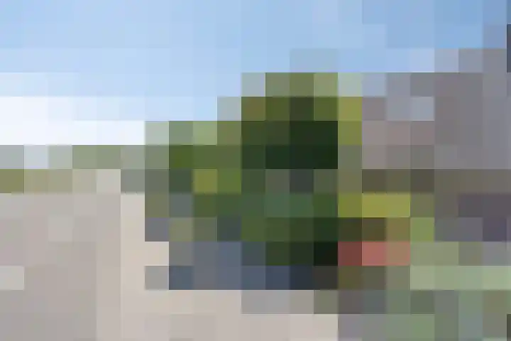 Oude Heijningsedijk 77 Heijningen thumbnail 49