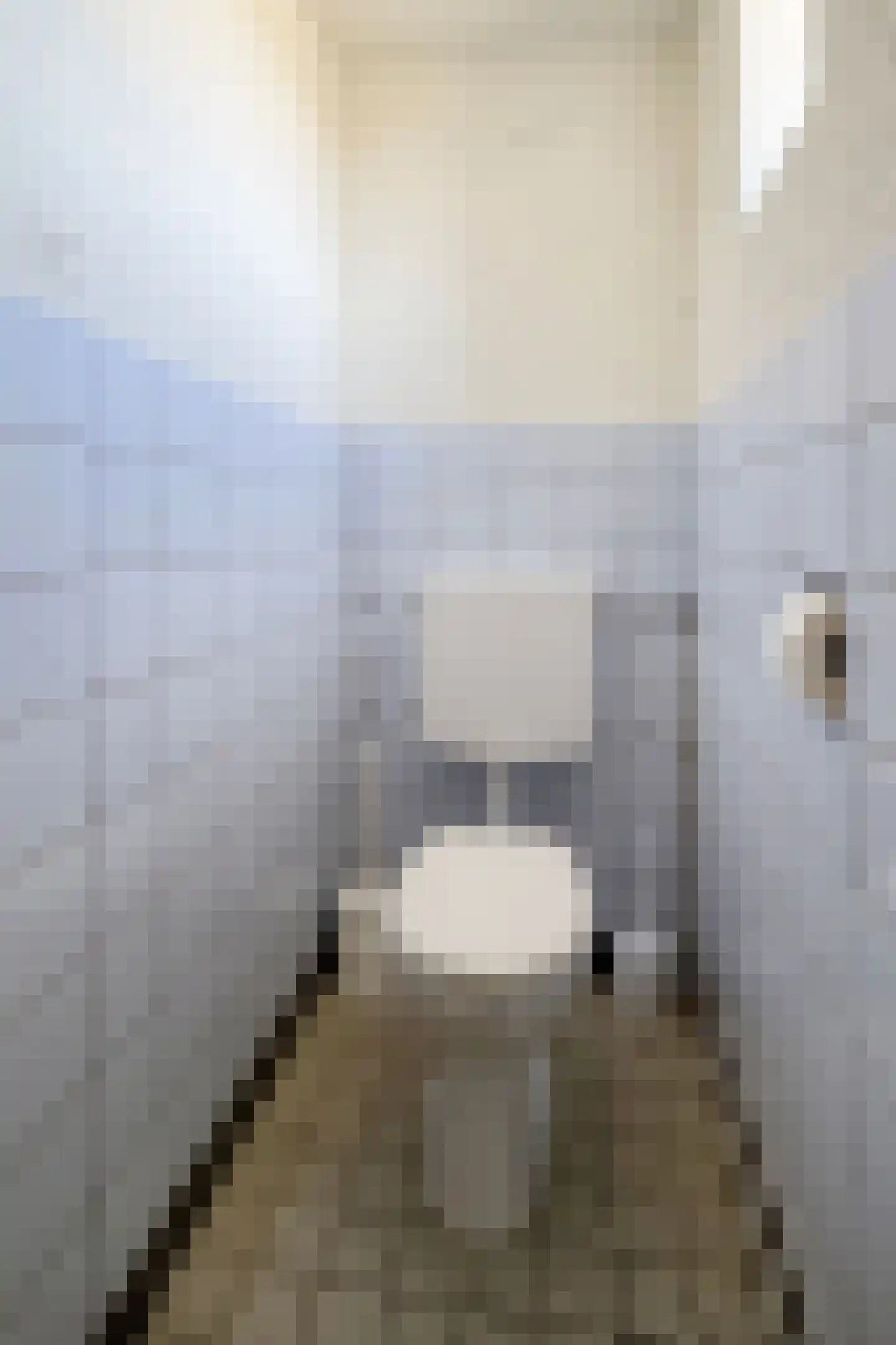 Oude Heijningsedijk 87 Heijningen thumbnail 10
