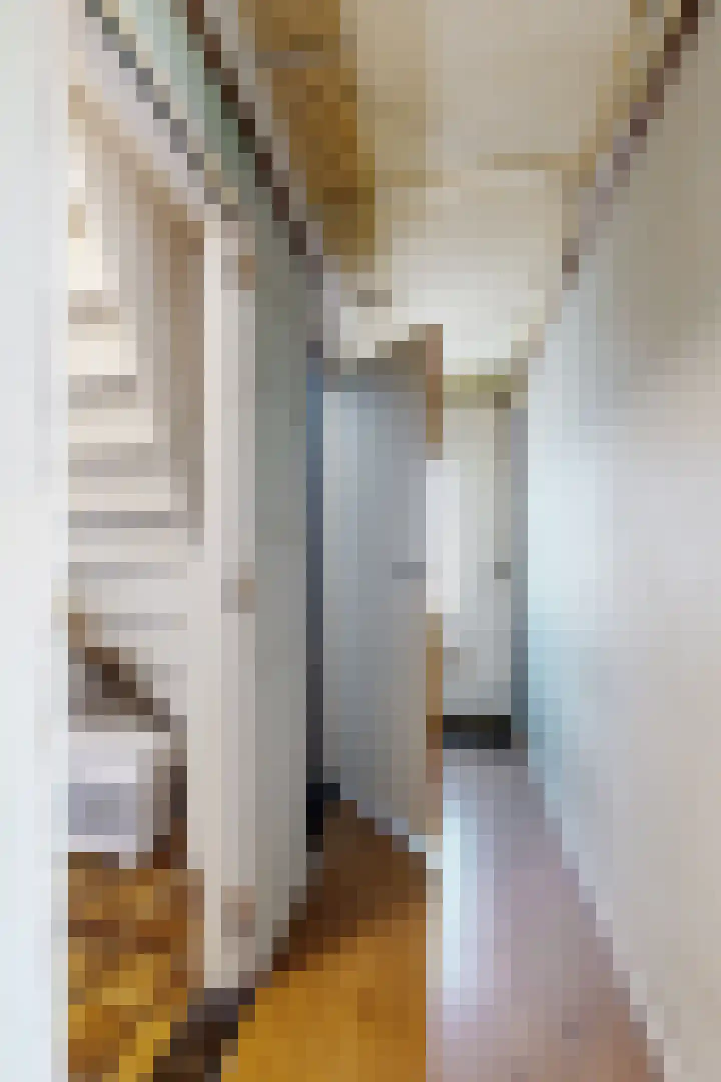 Oude Heijningsedijk 87 Heijningen thumbnail 11