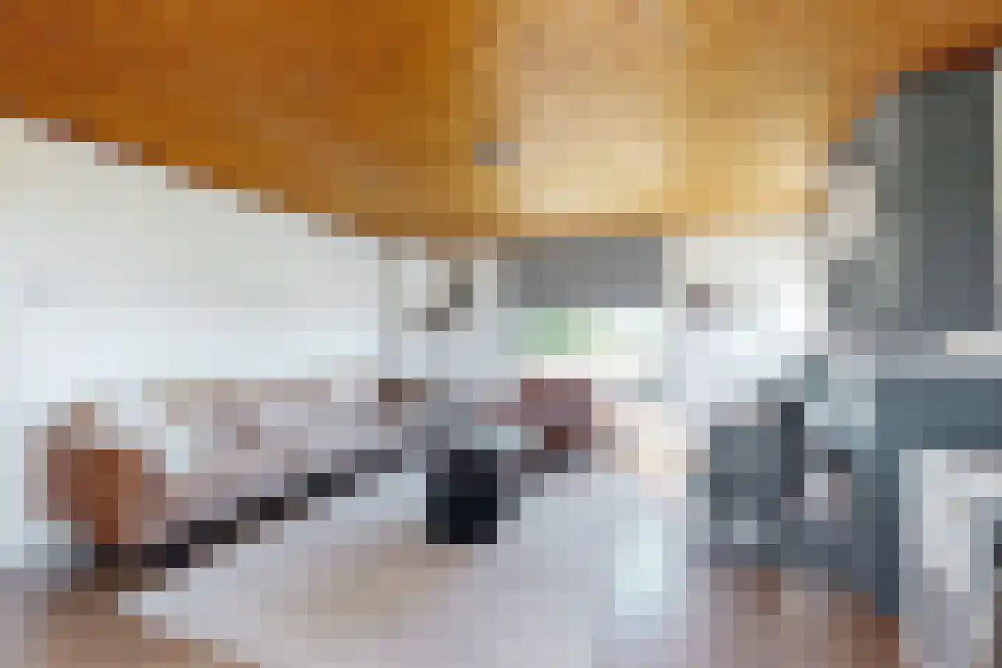 Oude Heijningsedijk 87 Heijningen thumbnail 12
