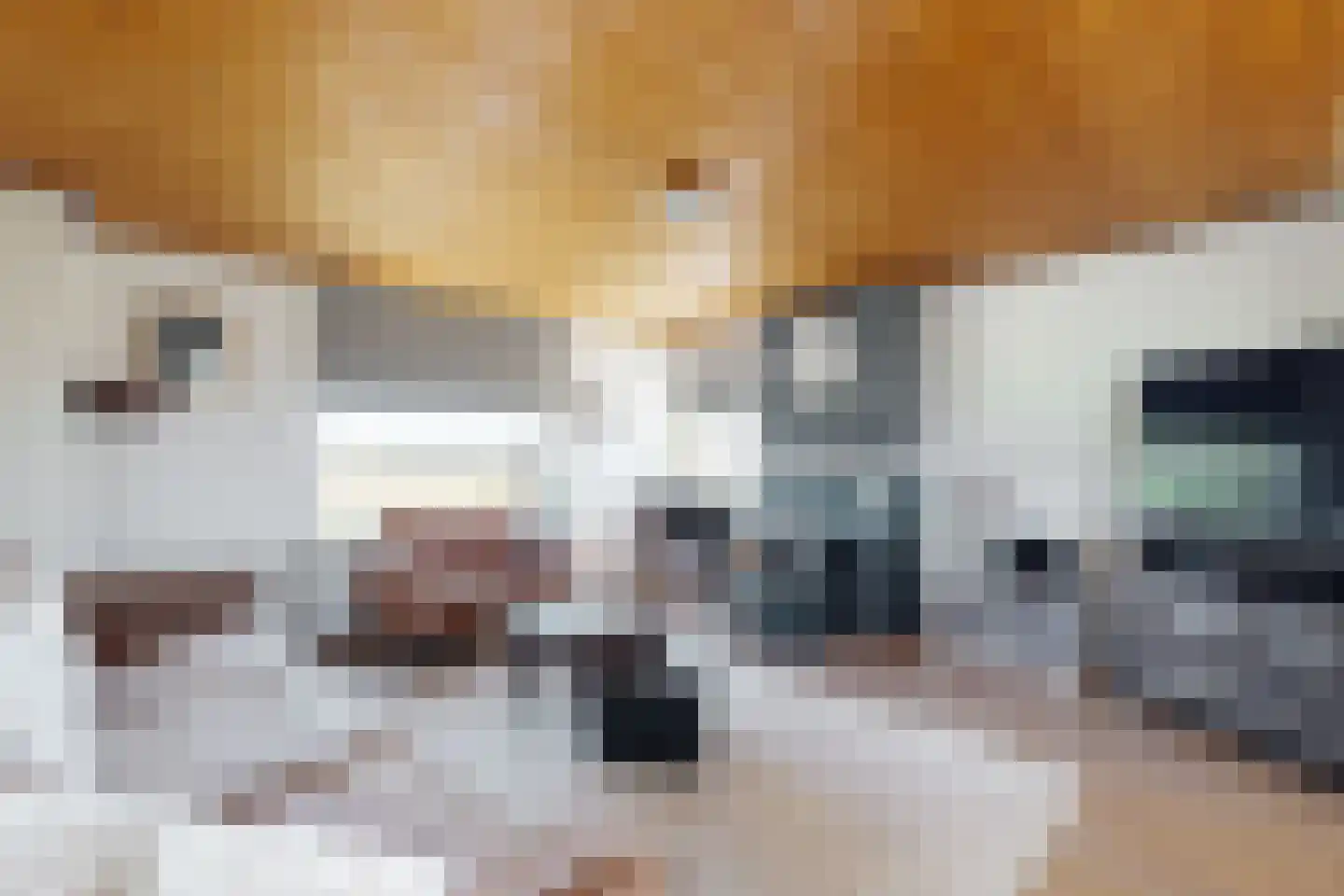 Oude Heijningsedijk 87 Heijningen thumbnail 14