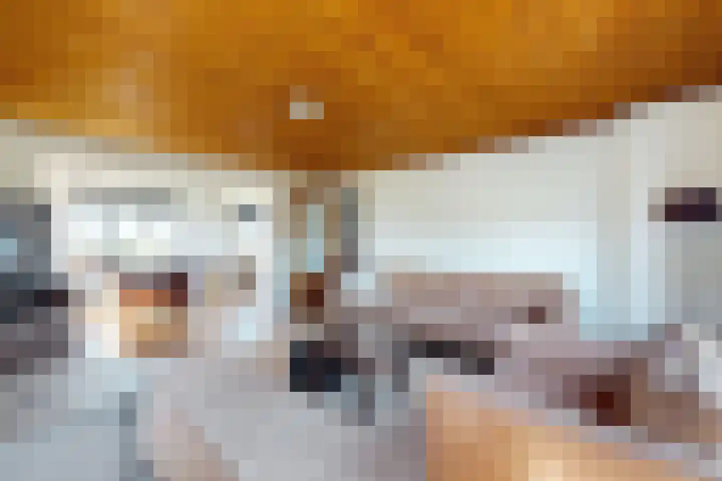 Oude Heijningsedijk 87 Heijningen thumbnail 15