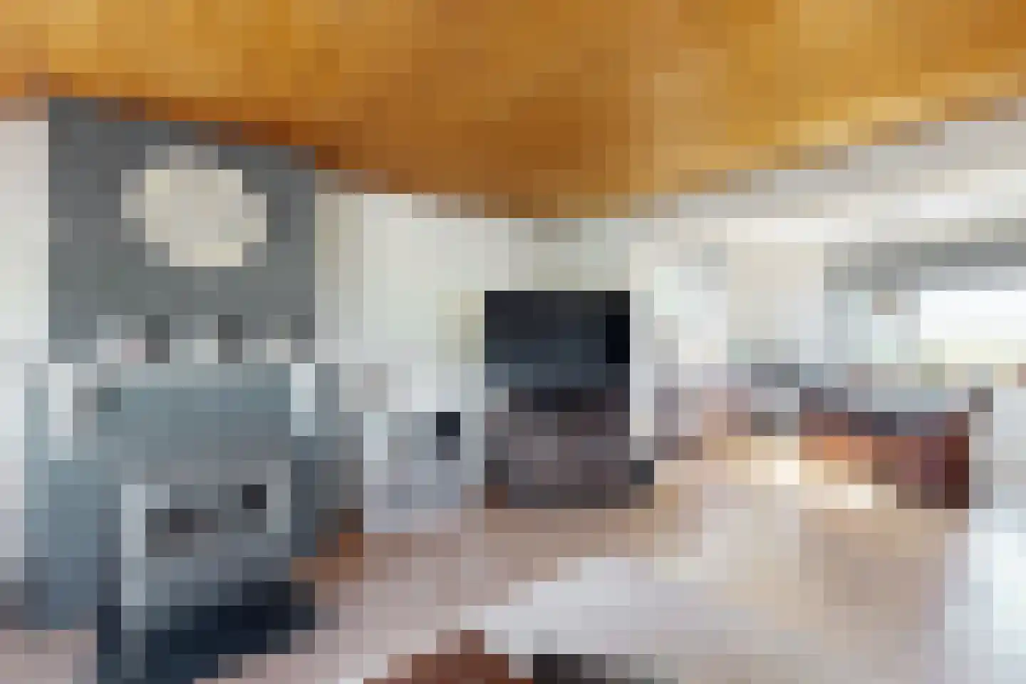 Oude Heijningsedijk 87 Heijningen thumbnail 16