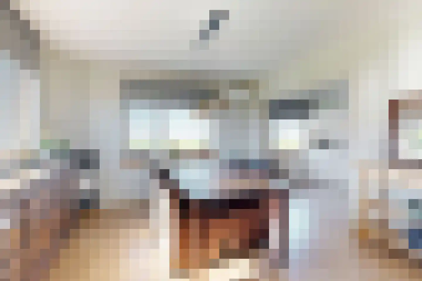 Oude Heijningsedijk 87 Heijningen thumbnail 17