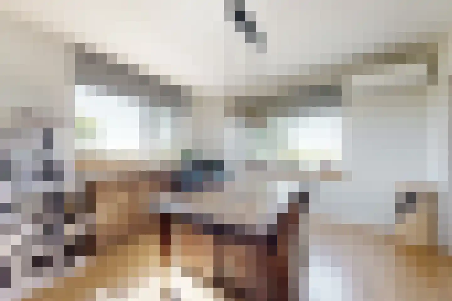 Oude Heijningsedijk 87 Heijningen thumbnail 18