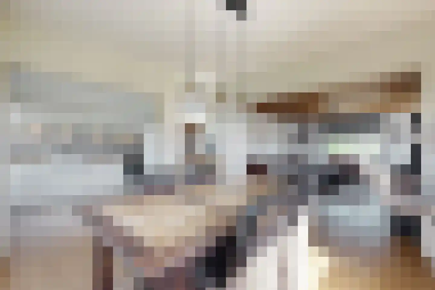 Oude Heijningsedijk 87 Heijningen thumbnail 20