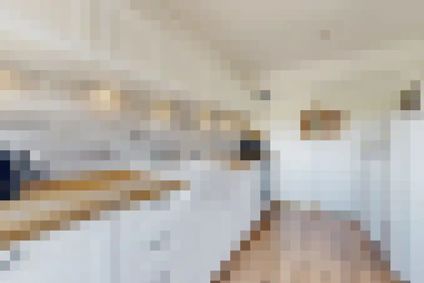 Oude Heijningsedijk 87 Heijningen thumbnail 23