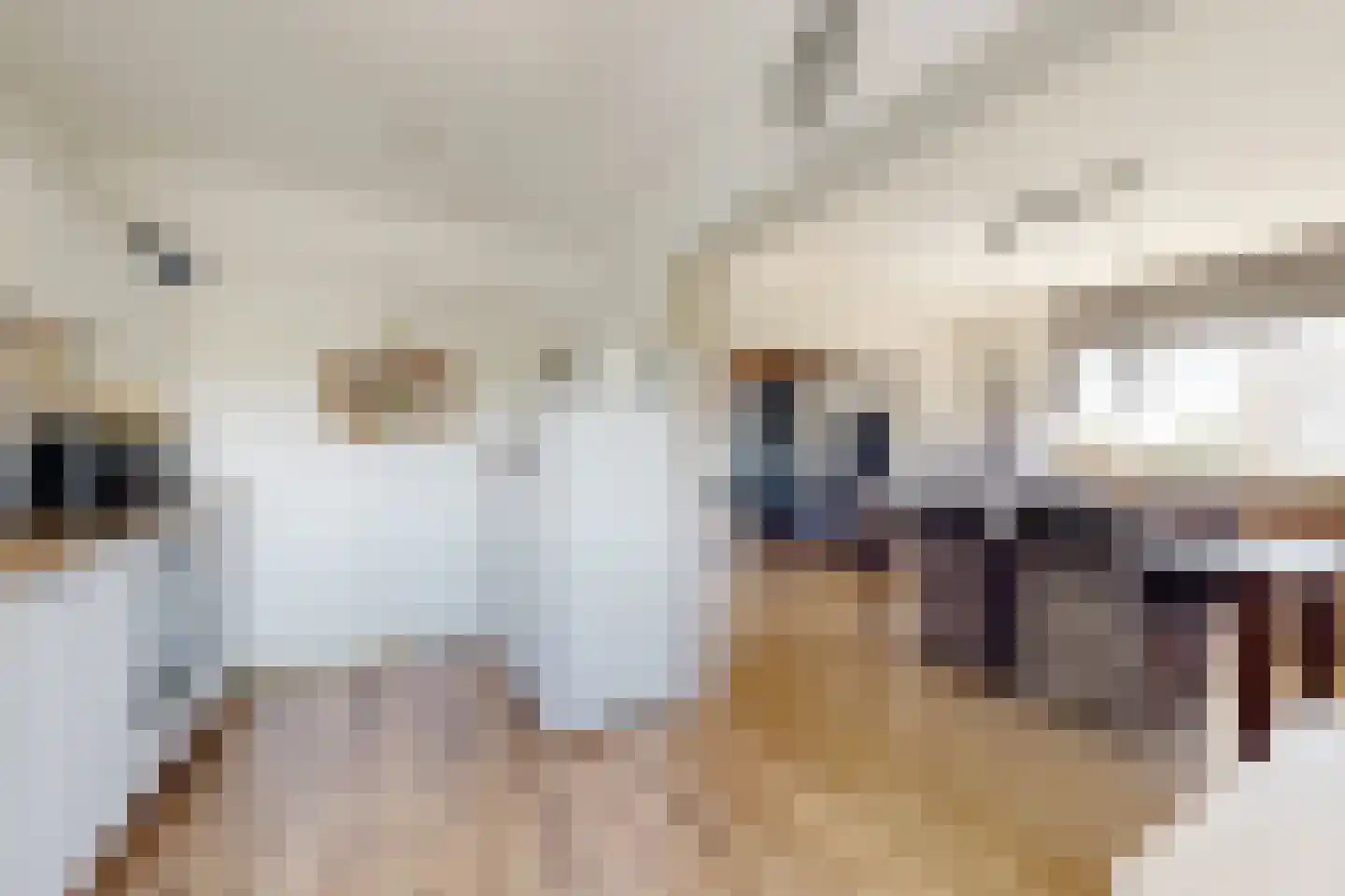 Oude Heijningsedijk 87 Heijningen thumbnail 24