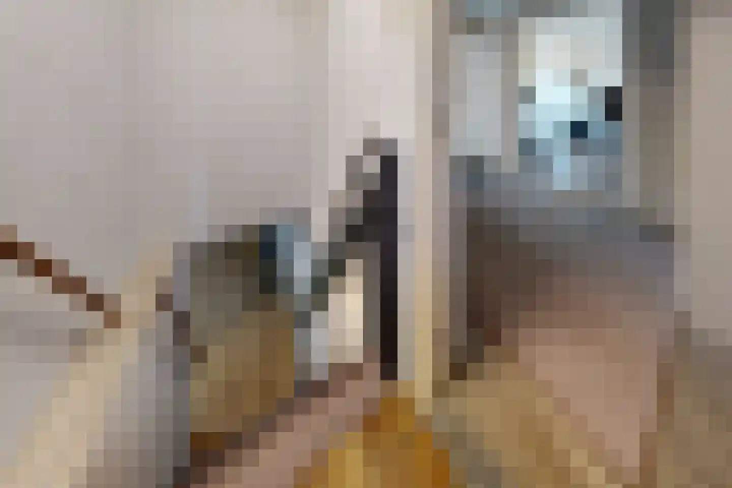 Oude Heijningsedijk 87 Heijningen thumbnail 25