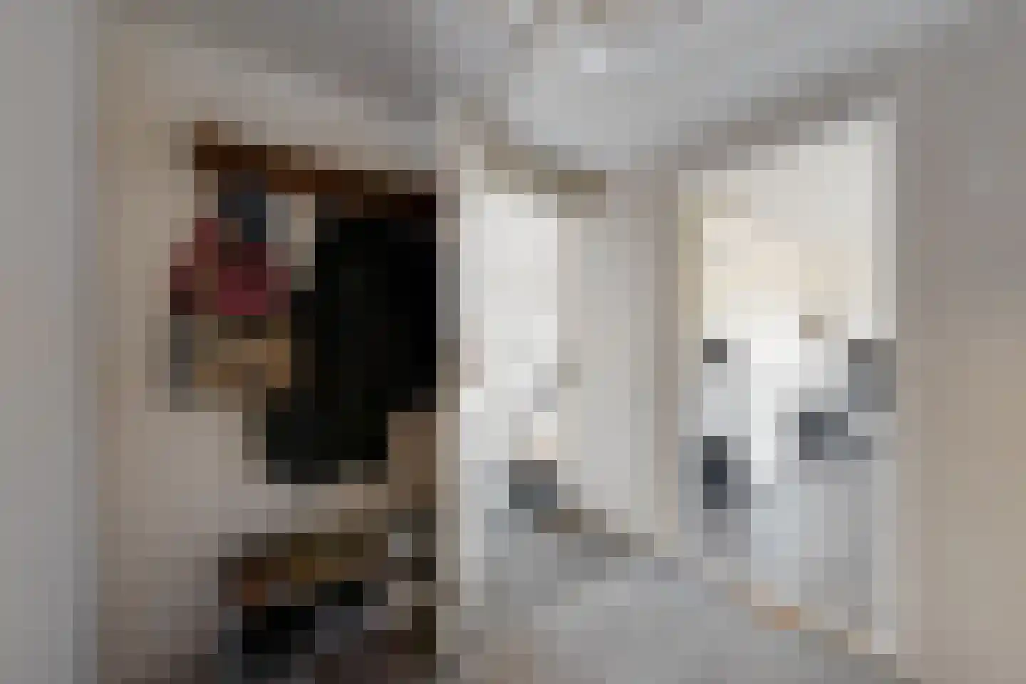 Oude Heijningsedijk 87 Heijningen thumbnail 26