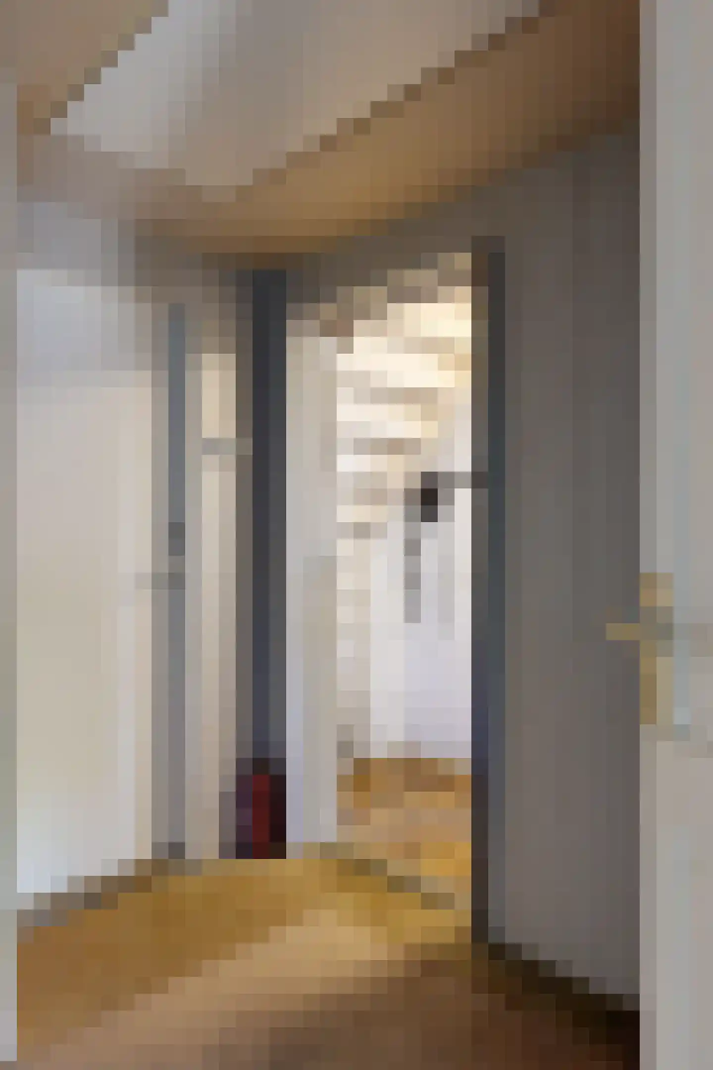 Oude Heijningsedijk 87 Heijningen thumbnail 27