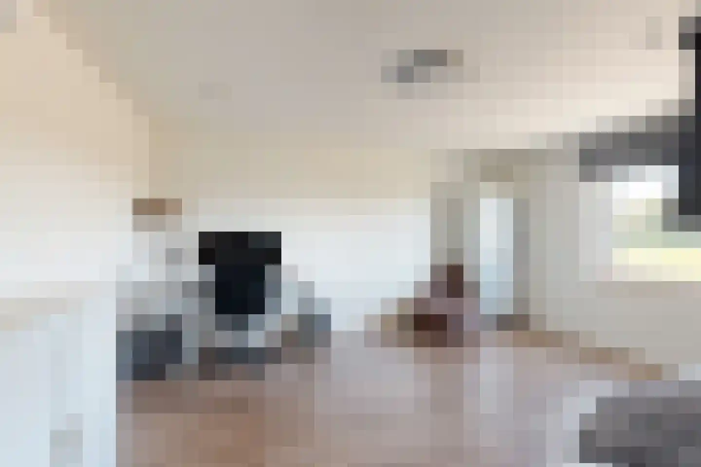 Oude Heijningsedijk 87 Heijningen thumbnail 29