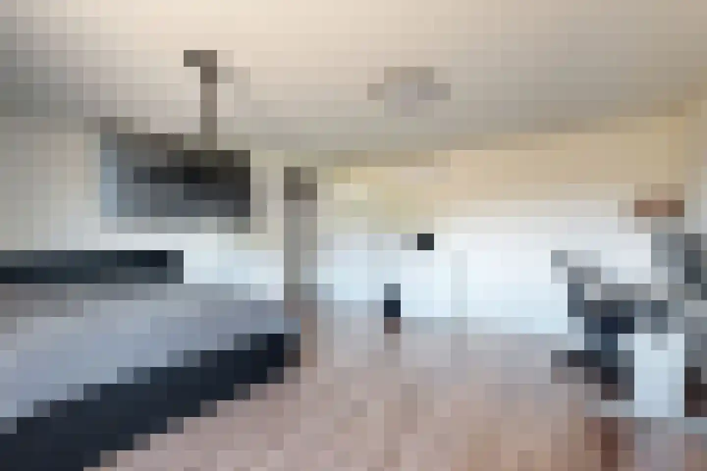 Oude Heijningsedijk 87 Heijningen thumbnail 31
