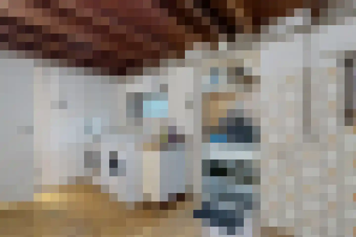 Oude Heijningsedijk 87 Heijningen thumbnail 40