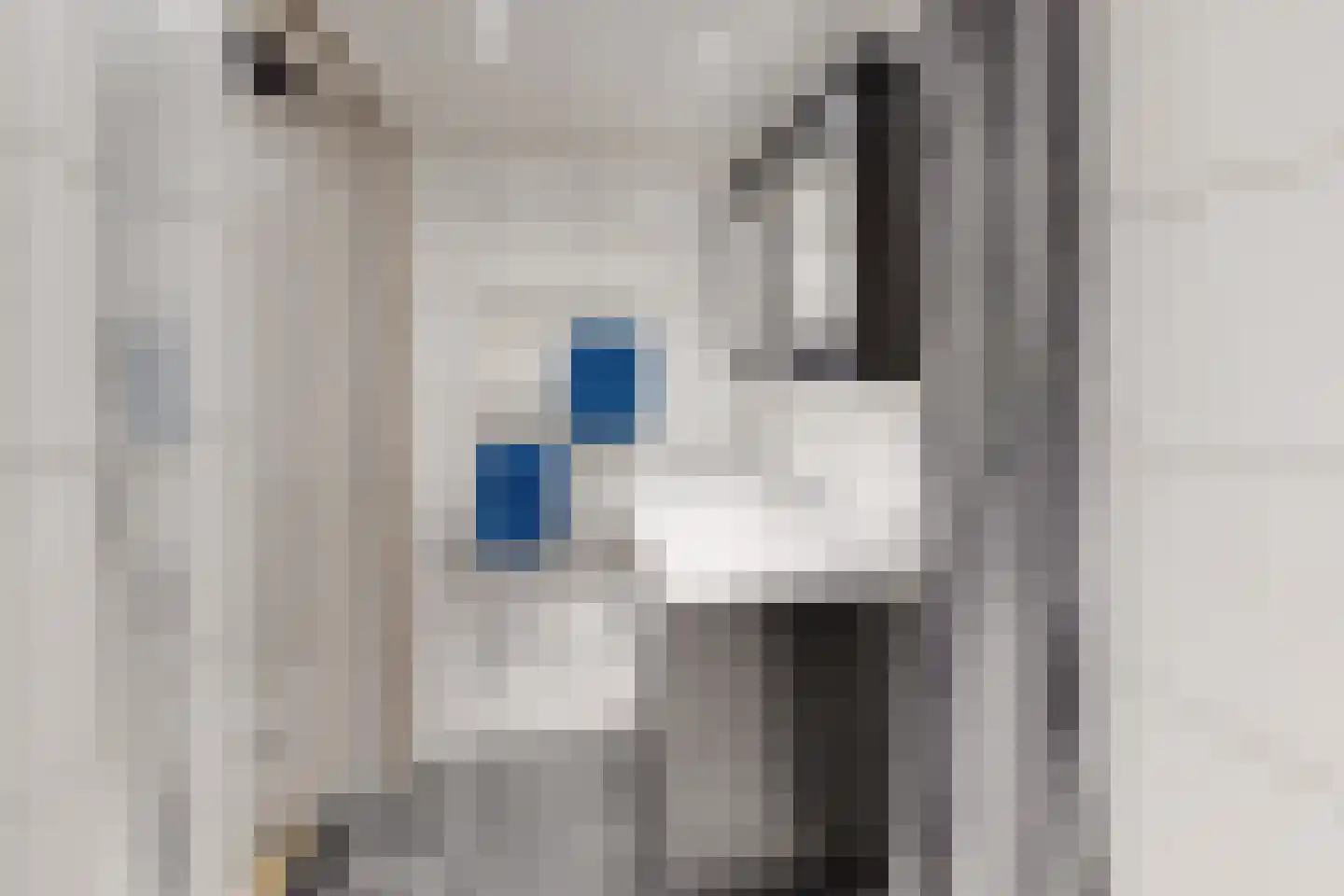 Oude Heijningsedijk 87 Heijningen thumbnail 42