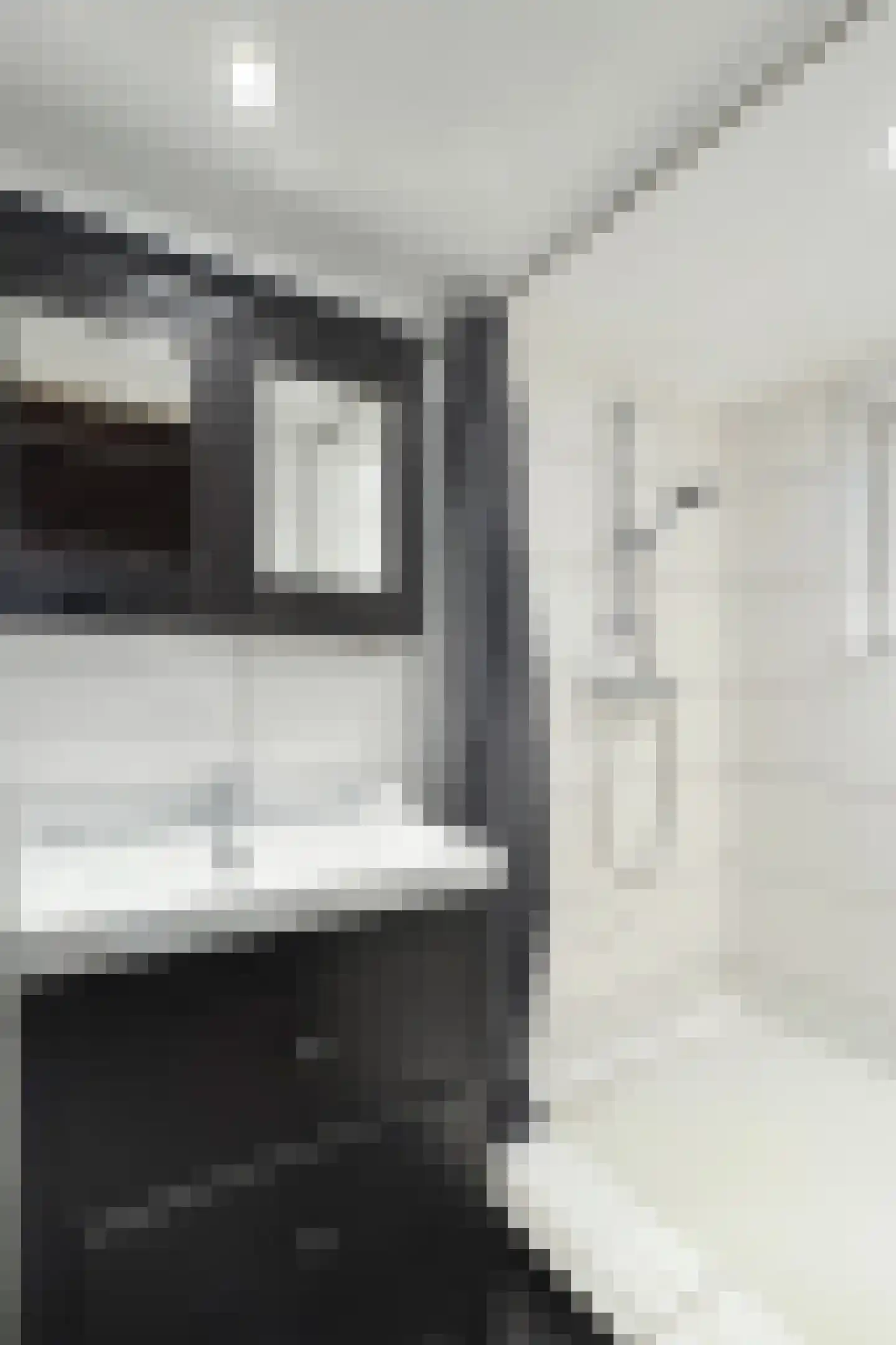 Oude Heijningsedijk 87 Heijningen thumbnail 43