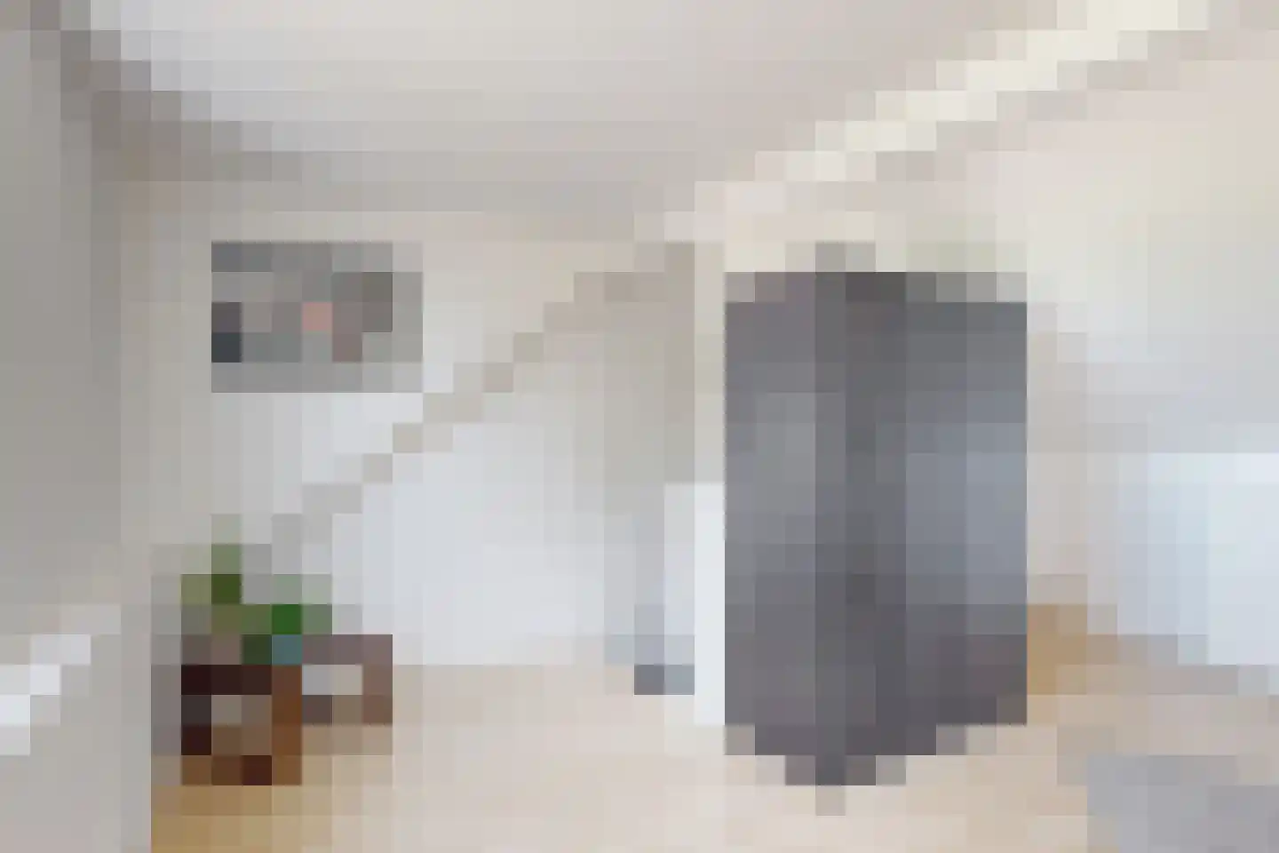Oude Heijningsedijk 87 Heijningen thumbnail 48
