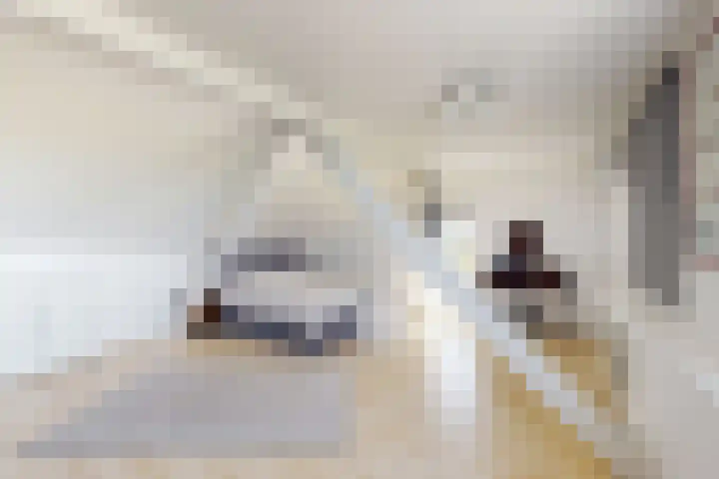 Oude Heijningsedijk 87 Heijningen thumbnail 49