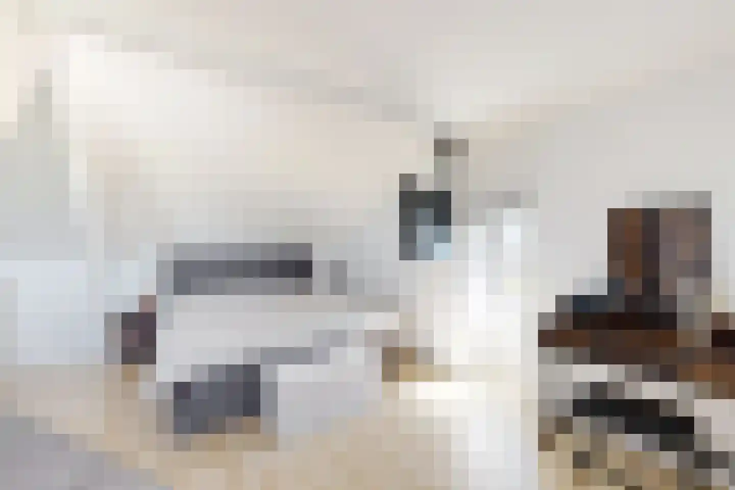 Oude Heijningsedijk 87 Heijningen thumbnail 51