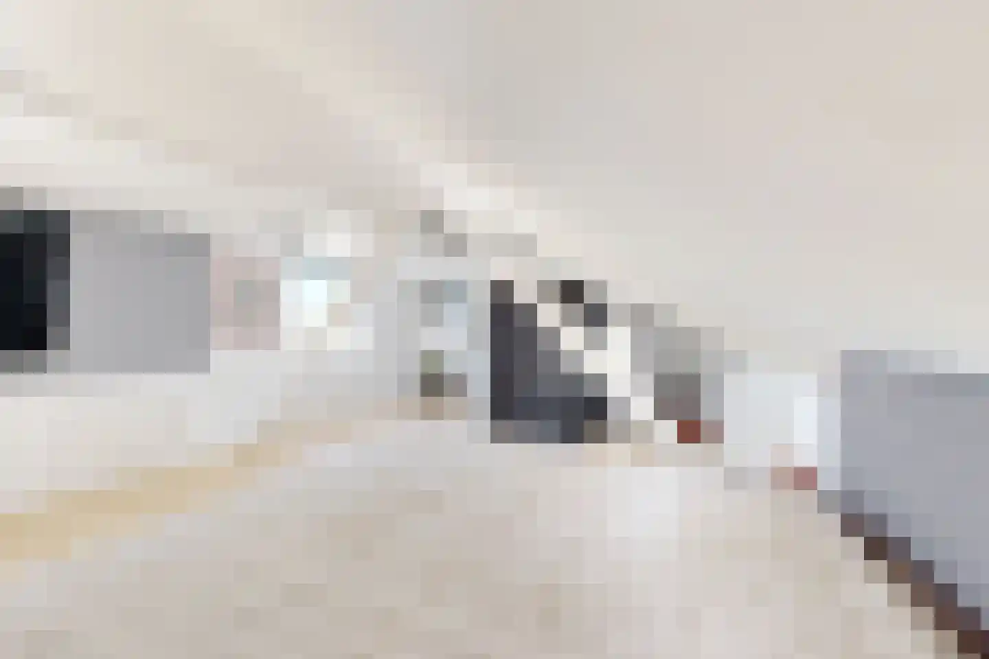 Oude Heijningsedijk 87 Heijningen thumbnail 53