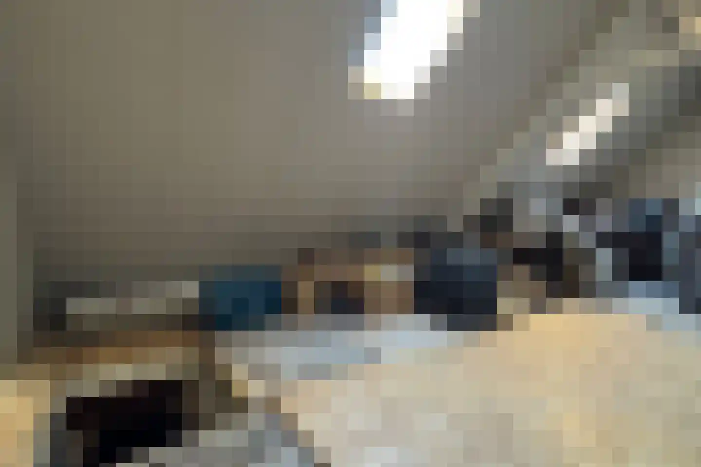Oude Heijningsedijk 87 Heijningen thumbnail 54