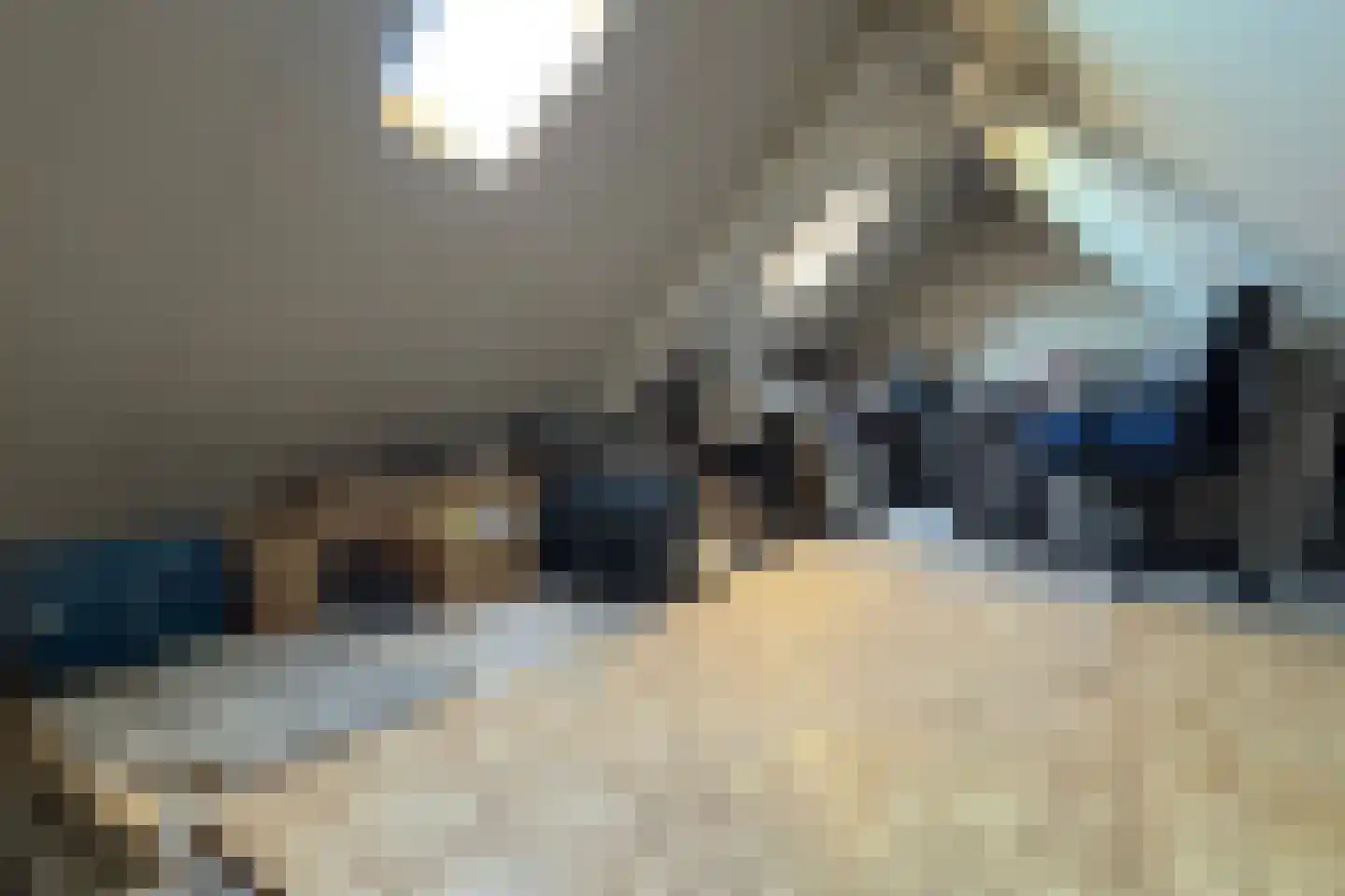 Oude Heijningsedijk 87 Heijningen thumbnail 55
