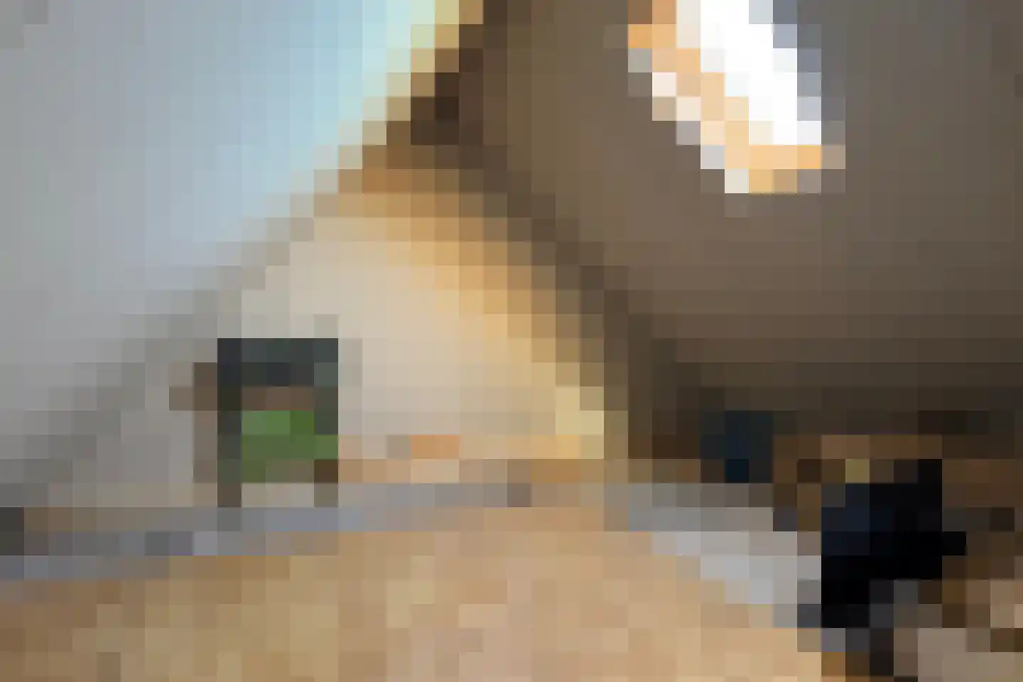Oude Heijningsedijk 87 Heijningen thumbnail 56