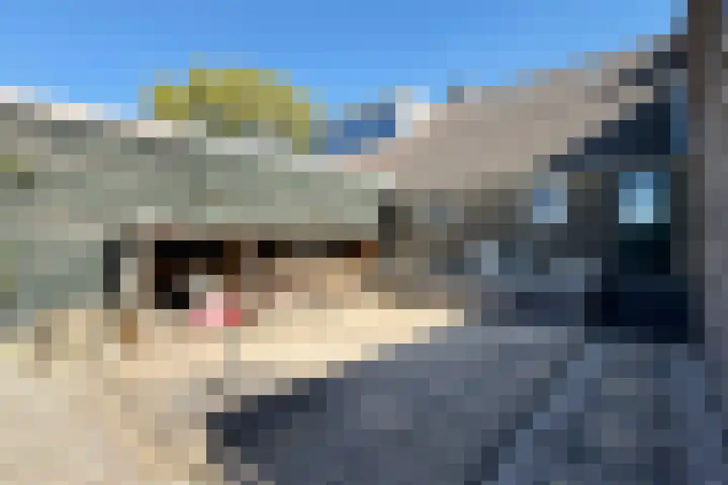 Oude Heijningsedijk 87 Heijningen thumbnail 58