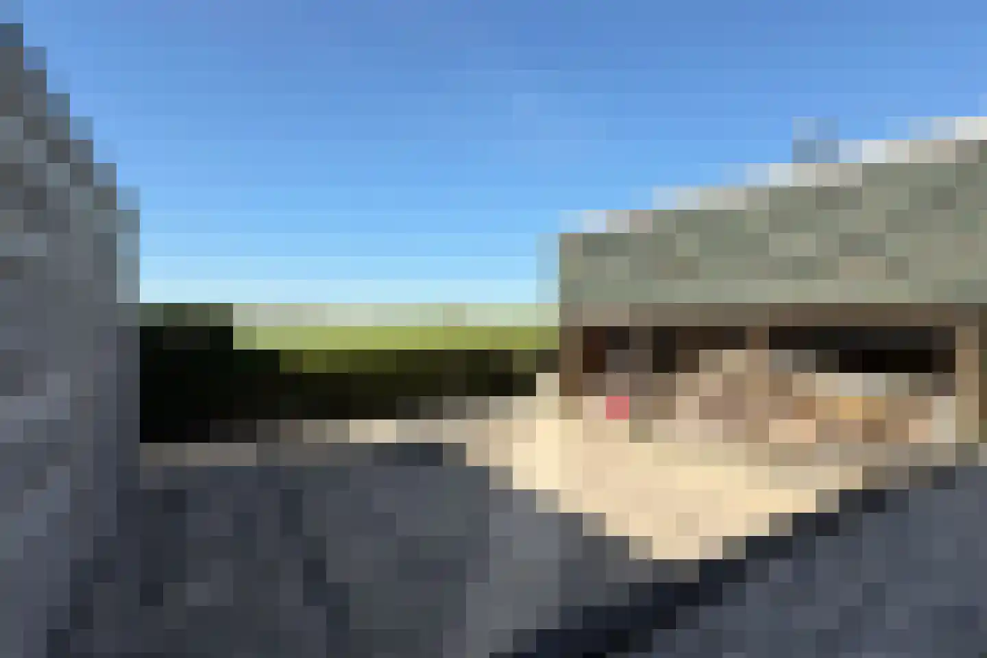Oude Heijningsedijk 87 Heijningen thumbnail 59