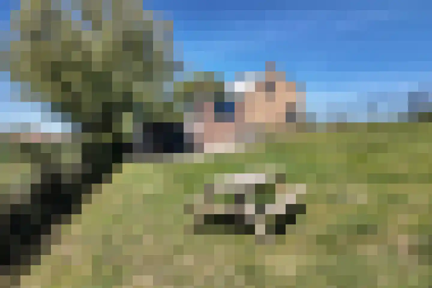 Oude Heijningsedijk 87 Heijningen thumbnail 66