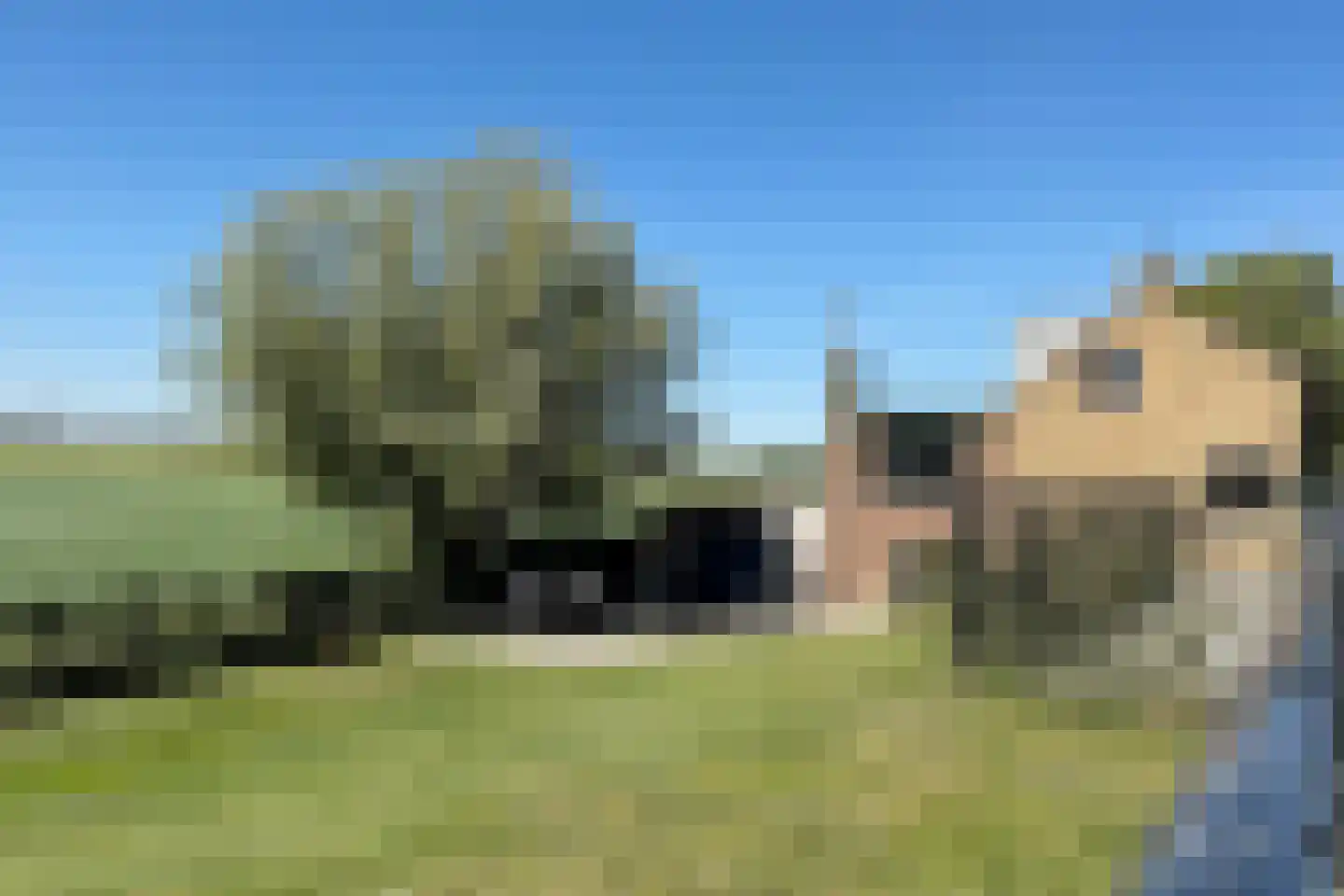 Oude Heijningsedijk 87 Heijningen thumbnail 67