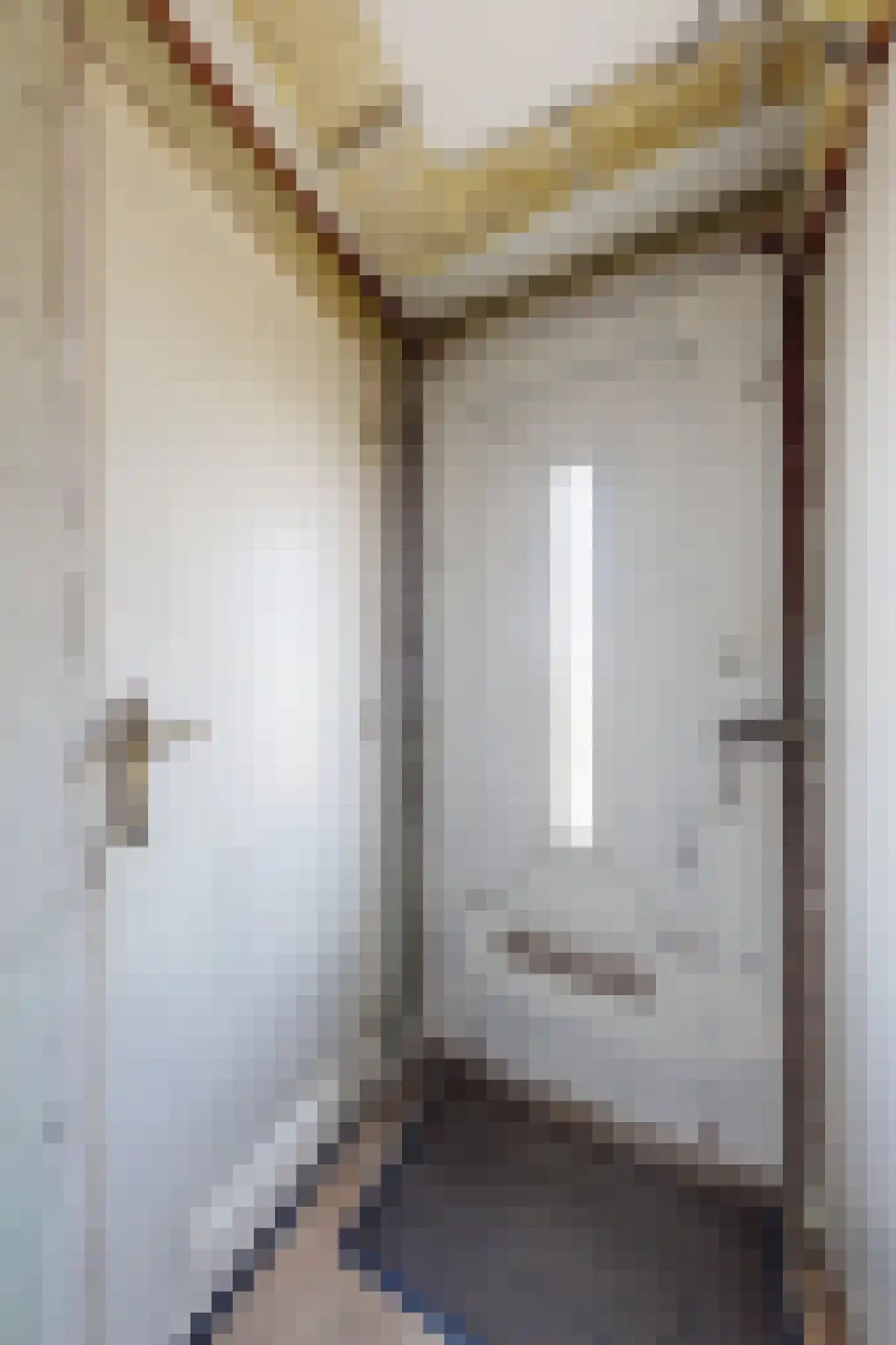 Oude Heijningsedijk 87 Heijningen thumbnail 7