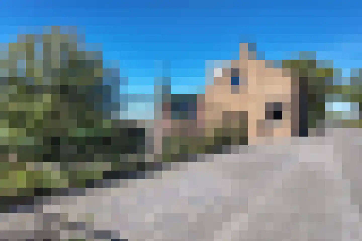 Oude Heijningsedijk 87 Heijningen thumbnail 73