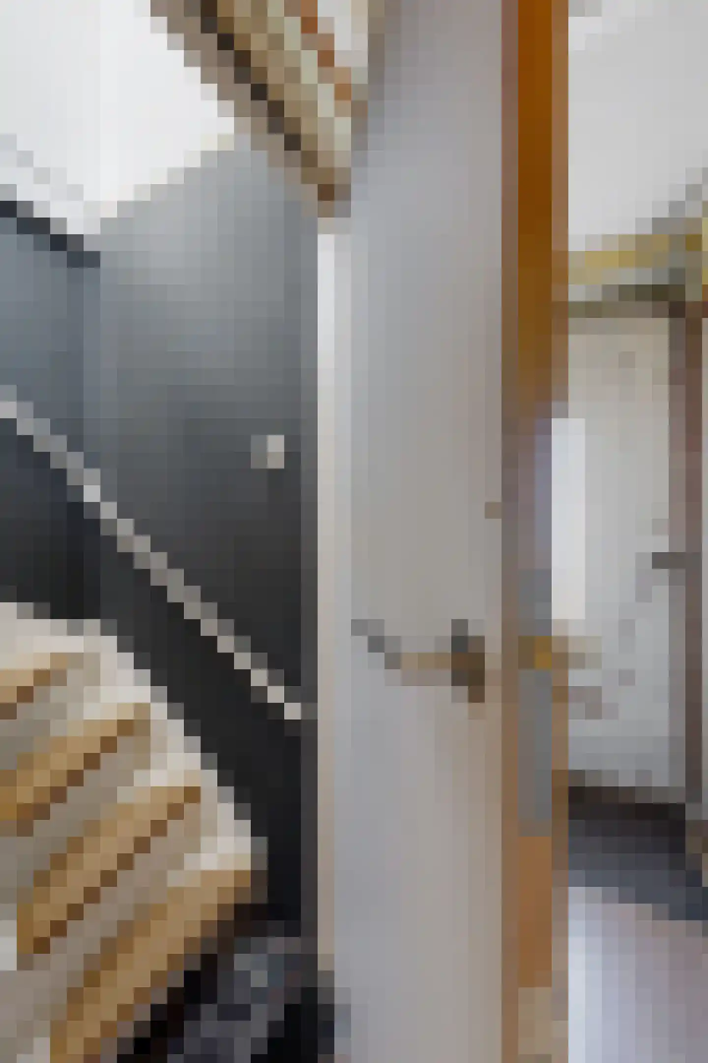 Oude Heijningsedijk 87 Heijningen thumbnail 8