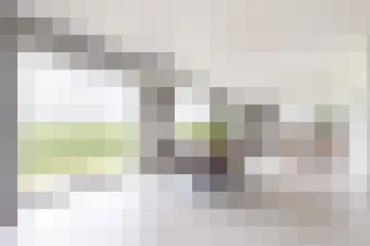 Oude Heijningsedijk 93 Heijningen thumbnail 11